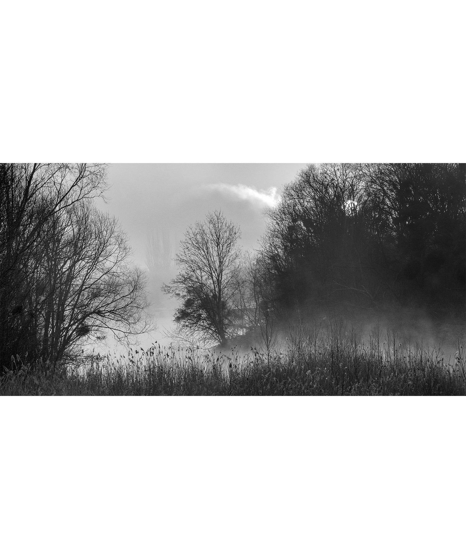 ZEBRES Peinture « Partir avant l'Aube n°12 »