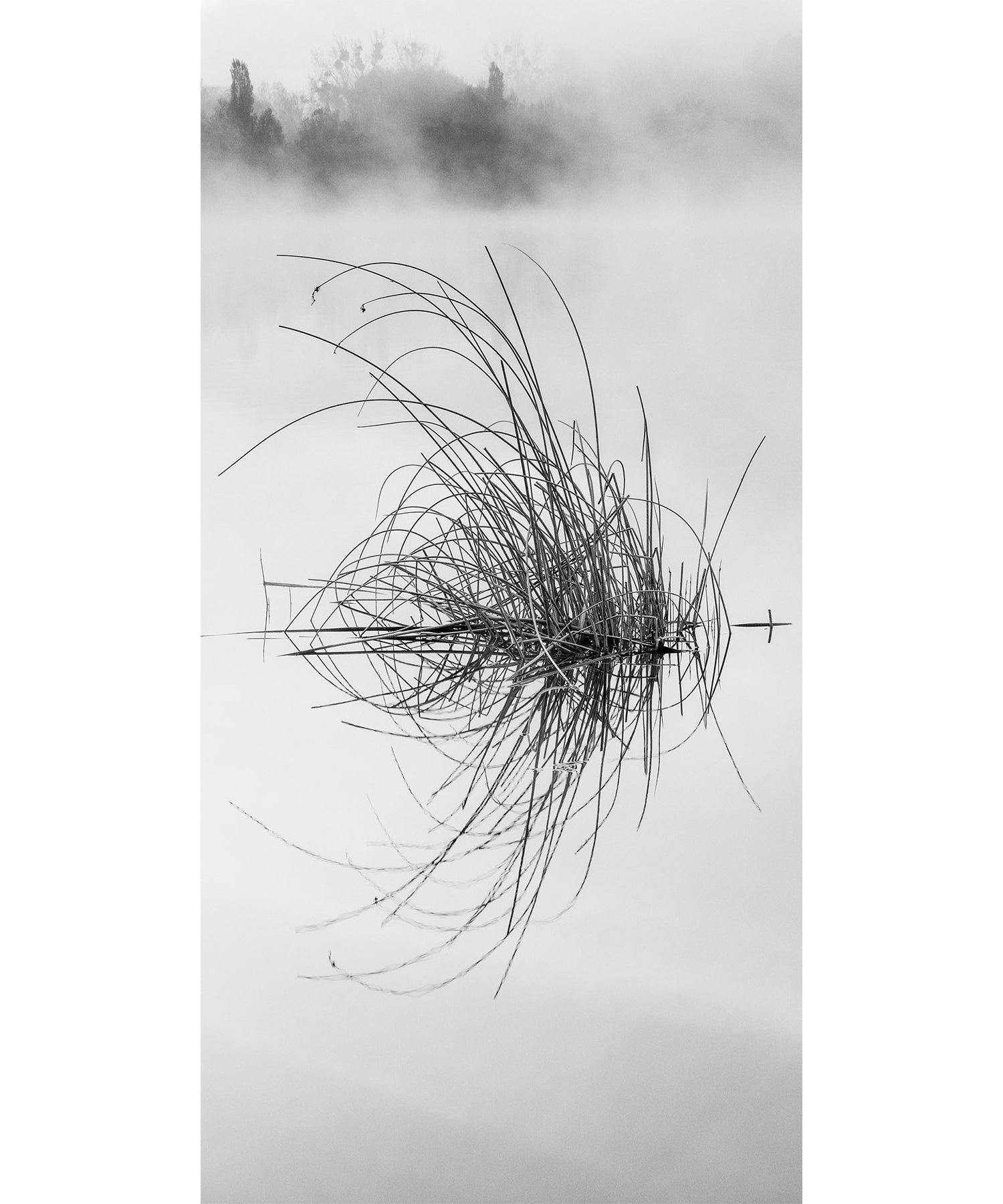 ZEBRES Peinture « Partir avant l'Aube n°16 »