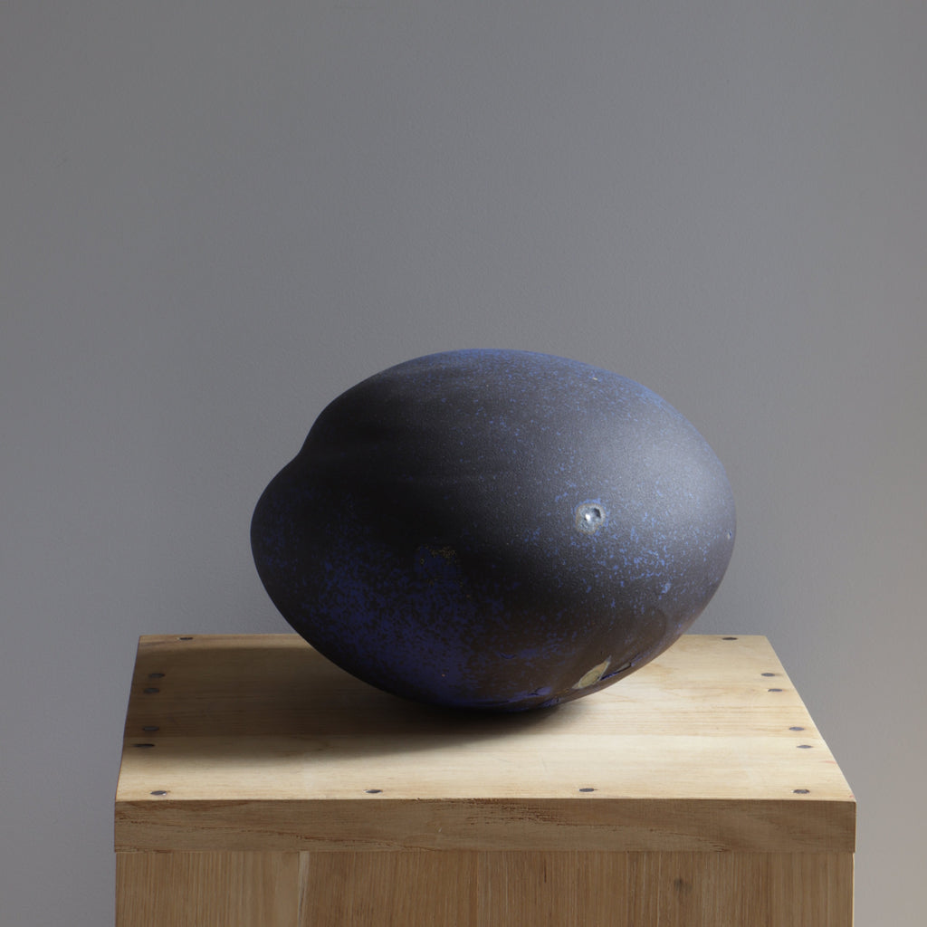 Planète bleue - Ingrid Van Munster - ZEBRES