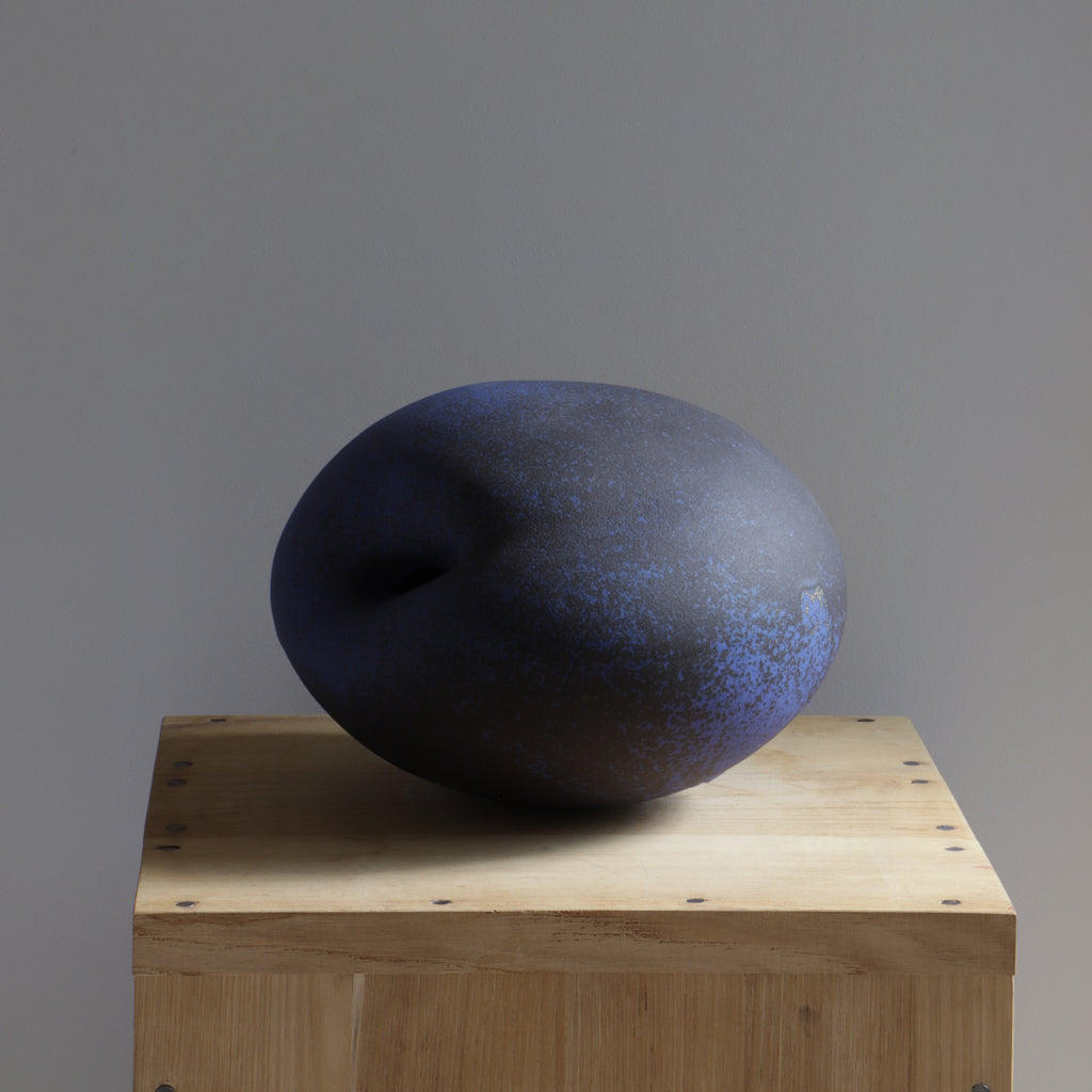 Planète bleue - Ingrid Van Munster - ZEBRES