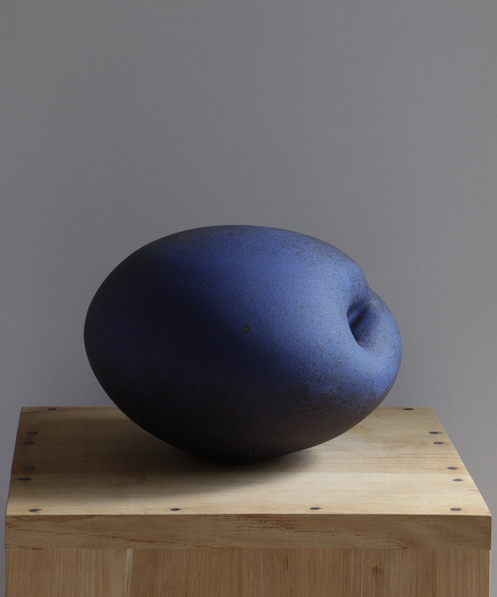 Zèbres Planète bleue - Ingrid Van Munster