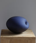 Zèbres Planète bleue - Ingrid Van Munster