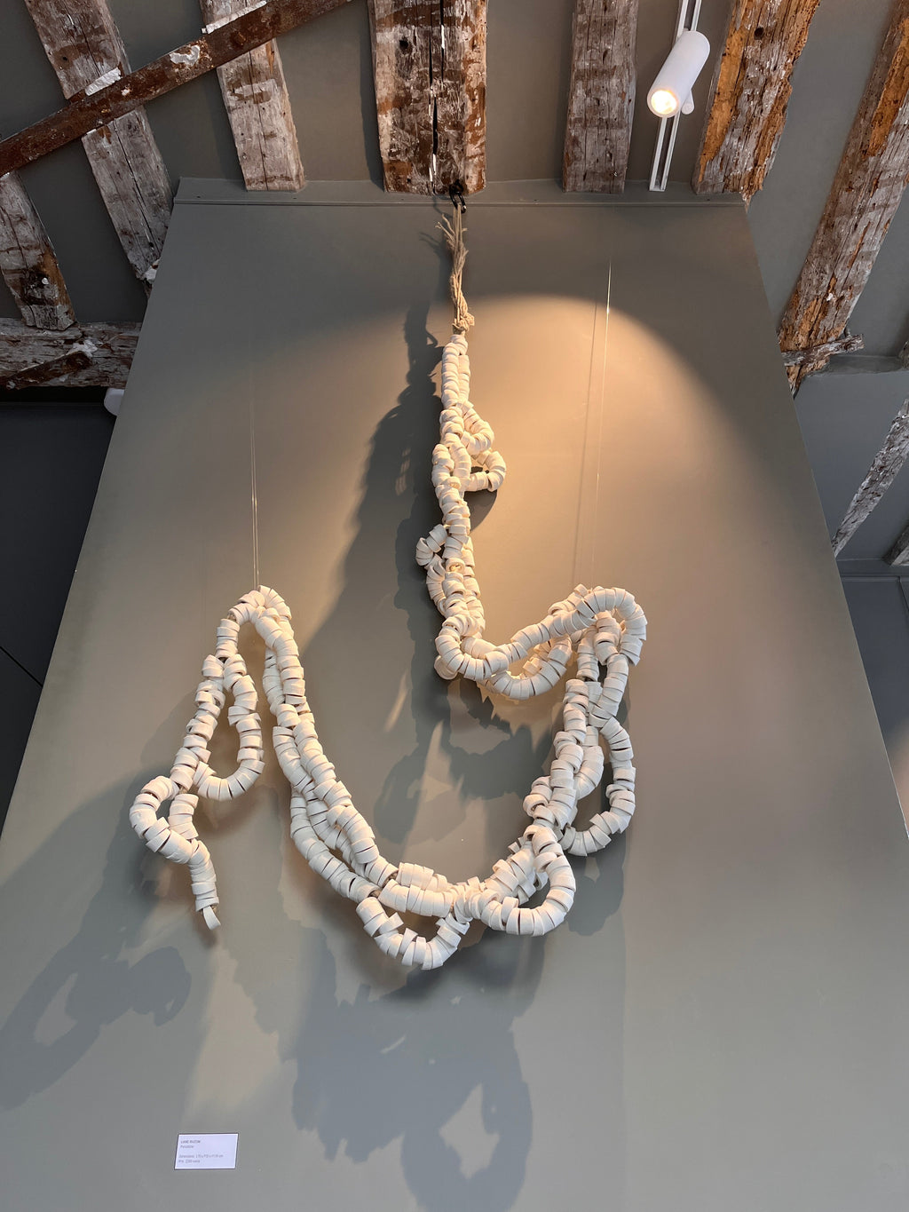 ZEBRES Sculpture "Liane Rhizom" - Bénédicte Vallet